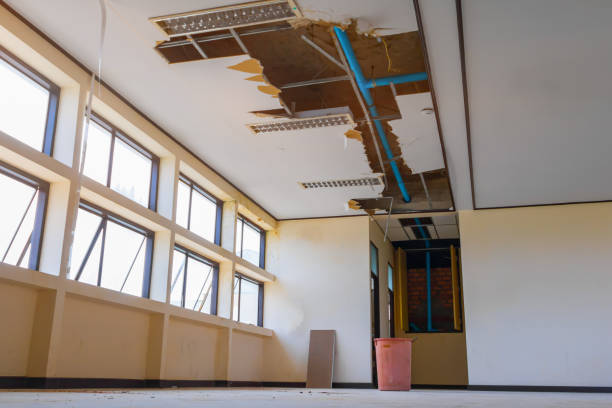 Best Water damage restoration company  in Elk City, OK