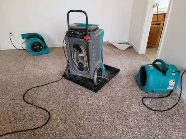 Best Water damage restoration near me  in Elk City, OK