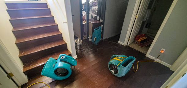 Best Ceiling water damage repair  in Elk City, OK