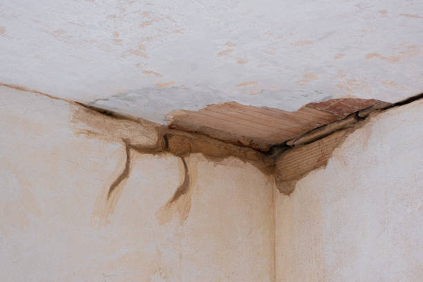 Best Water damage contractors near me  in Elk City, OK