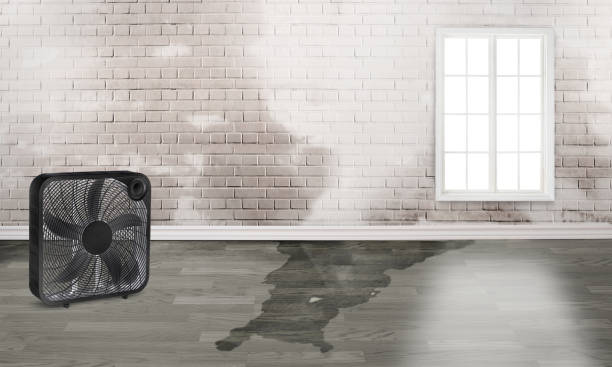 Best Emergency water damage restoration  in Elk City, OK