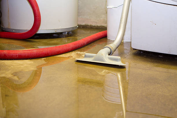 Best Basement water damage restoration  in Elk City, OK