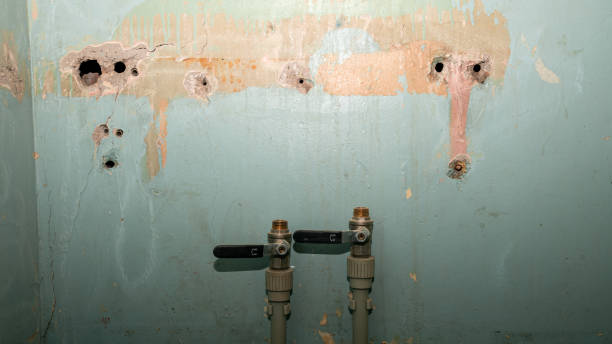 Best Flood damage cleanup  in Elk City, OK