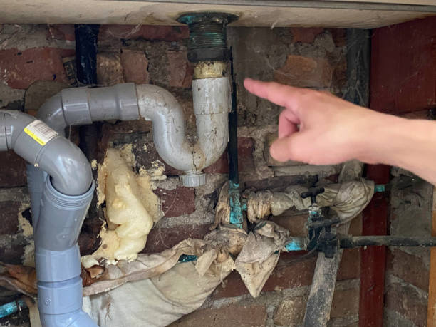 Best Water damage restoration experts  in Elk City, OK
