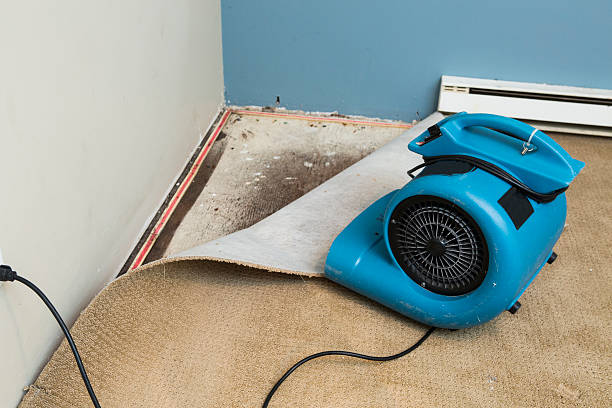Best 24/7 water damage repair  in Elk City, OK